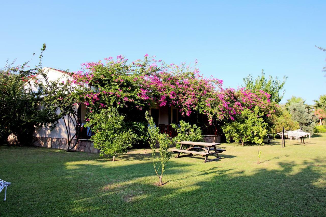 Nerissa Hotel Чирали Екстер'єр фото